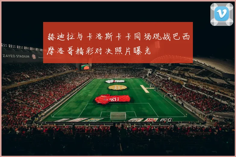 赫迪拉与卡洛斯卡卡同场观战巴西摩洛哥精彩对决照片曝光